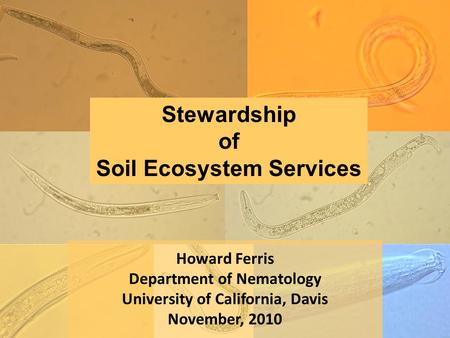 Howard Ferris Department of Nematology University of California, Davis November, 2010 Stewardship of Soil Ecosystem Services.