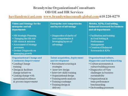 Vision and Strategy for the enterprise and all departments HR Strategic Planning Changing the HR role HR vision & mission Assessment of strategy processes.