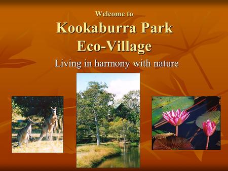 Welcome to Kookaburra Park Eco-Village Living in harmony with nature.