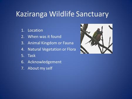 Kaziranga Wildlife Sanctuary