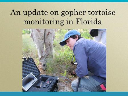 An update on gopher tortoise monitoring in Florida.