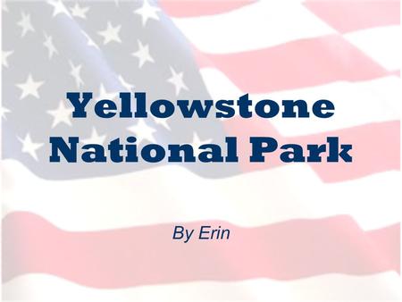 Yellowstone National Park By Erin. Where is Yellowstone? Yellowstone lies in the northern American States, with: - 96% in Wyoming 3% in Montana and 1%