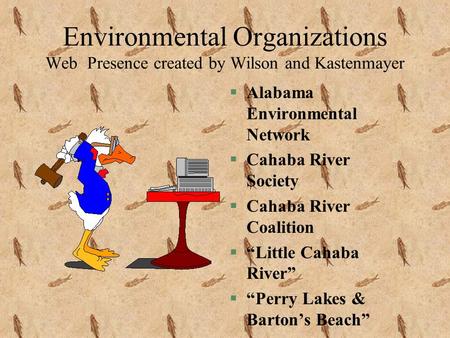 Environmental Organizations Web Presence created by Wilson and Kastenmayer §Alabama Environmental Network §Cahaba River Society §Cahaba River Coalition.