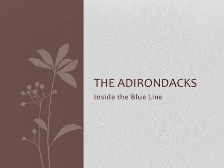 Inside the Blue Line THE ADIRONDACKS. Primary Industries Adirondack Statistics Adirondack State Park - 6 Million Acres Adirondack Forest Preserve -