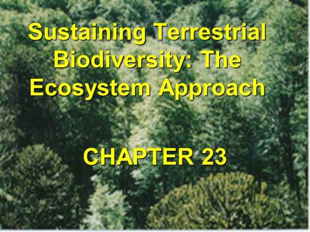 Sustaining Terrestrial Biodiversity: The Ecosystem Approach