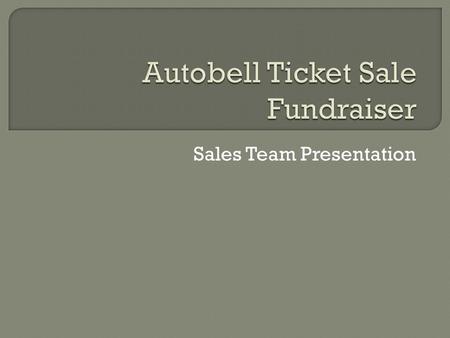 Sales Team Presentation. 1. Execute Ideas 2. Come up with In future Our goal was to come up with ideas for different fundraisers that Mountain Alliance.