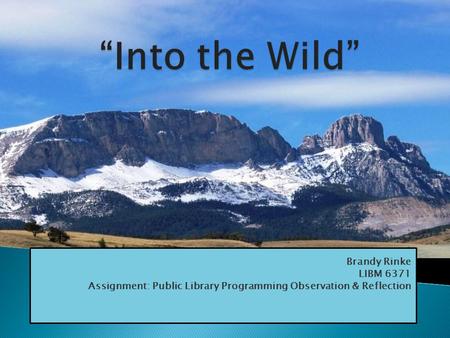 This program was inspired by this book, which is a true story about Chris McCandless. McCandless abandoned his belongings and traveled across North.