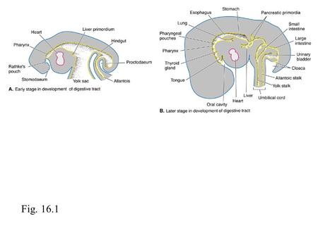 Fig. 16.1.