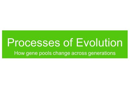 Processes of Evolution