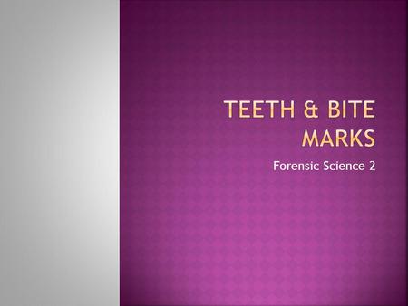 Forensic Science 2. The role of teeth is food processing (mechanical digestion) The first set of teeth are called deciduous teeth – they erupt around.