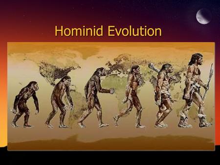 Hominid Evolution.