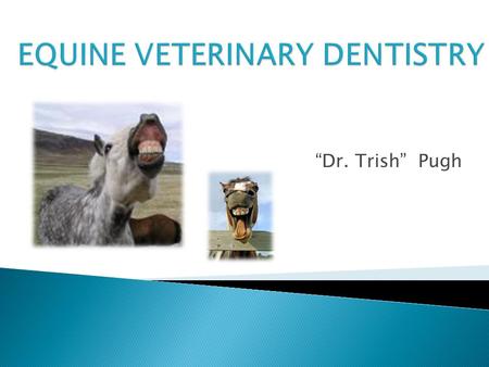 EQUINE VETERINARY DENTISTRY