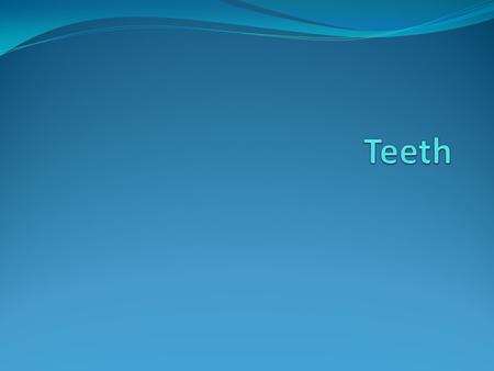 What happens if you dont brush teeth All of your teeth will fall out and turn yellow. When you finally decide to visit the dentists they will be big problems.