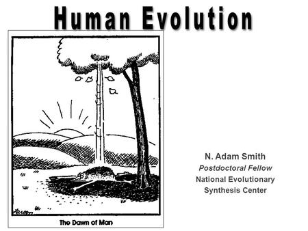 National Evolutionary