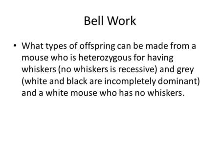 Bell Work What types of offspring can be made from a mouse who is heterozygous for having whiskers (no whiskers is recessive) and grey (white and black.