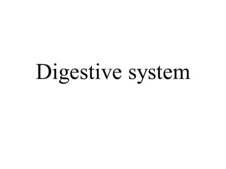 Digestive system.