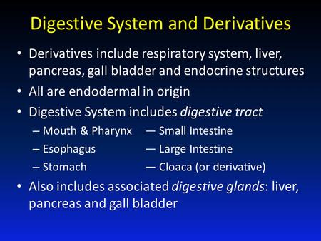 Digestive System and Derivatives