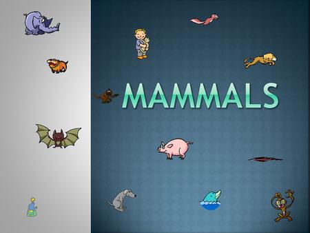 Mammals.