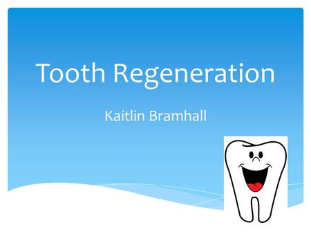 Tooth Regeneration Kaitlin Bramhall. American alligators have similar tooth structure to humans They can regrow teeth up to 50 times! How can scientists.