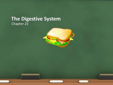 The Digestive System Chapter 23.