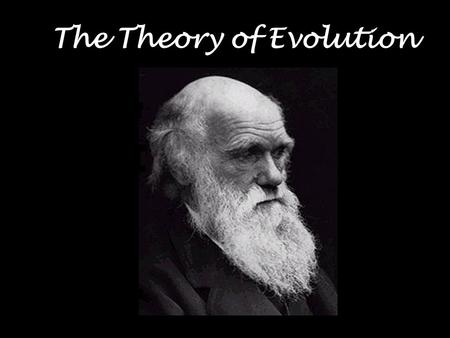 The Theory of Evolution