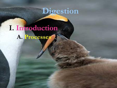 Digestion I. Introduction A. Processes.