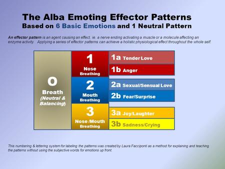 An effector pattern is an agent causing an effect, ie