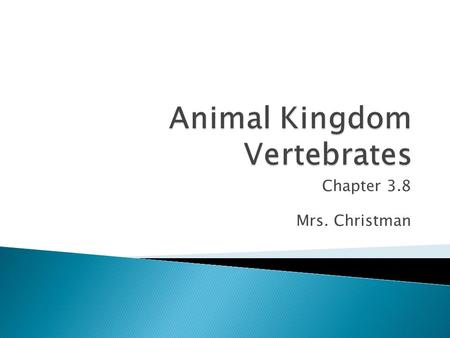 Animal Kingdom Vertebrates