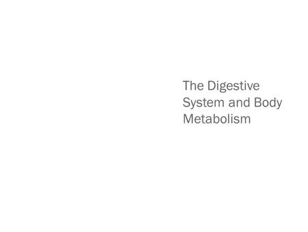 The Digestive System and Body Metabolism