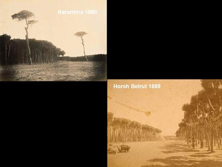 Karantina 1880 Horsh Beirut 1889.