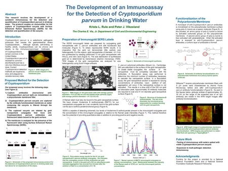 C. parvum polyclonal antibodies (Abcam Inc., Cambridge, MA) are adsorbed to the surface of the gold nanoparticles. To create stable conjugates, the surface.