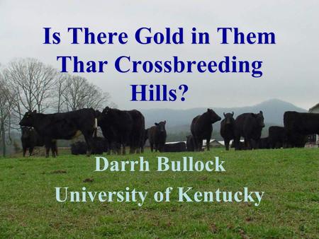 Is There Gold in Them Thar Crossbreeding Hills? Darrh Bullock University of Kentucky.