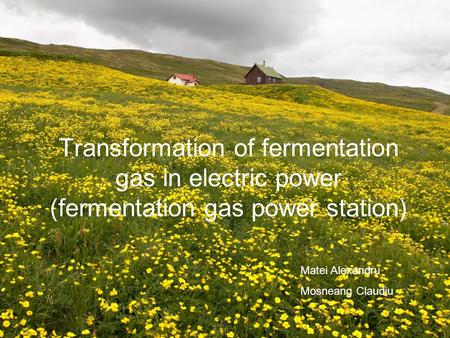 Transformation of fermentation gas in electric power (fermentation gas power station) Matei Alexandru Mosneang Claudiu.