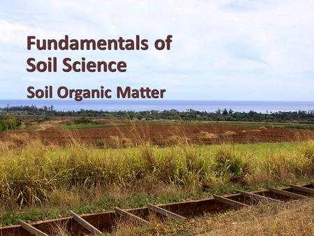 Fundamentals of Soil Science