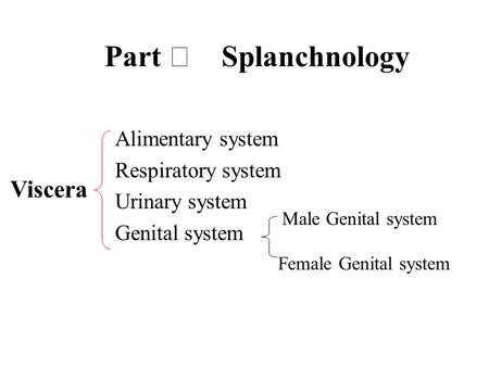 Alimentary system Respiratory system Urinary system Genital system