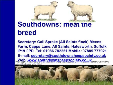 Southdowns: meat the breed Secretary: Gail Sprake (All Saints flock),Meens Farm, Capps Lane, All Saints, Halesworth, Suffolk IP19 0PD. Tel: 01986 782251.