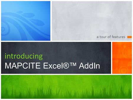 introducing MAPCITE Excel®™ AddIn