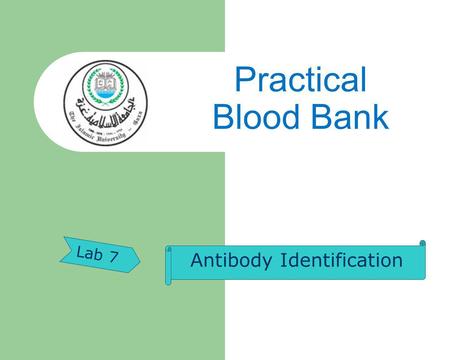 Antibody Identification