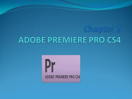 User interface Adobe video and audio applications provide a consistent, customizable workspace. Although each application has its own set of panels (such.