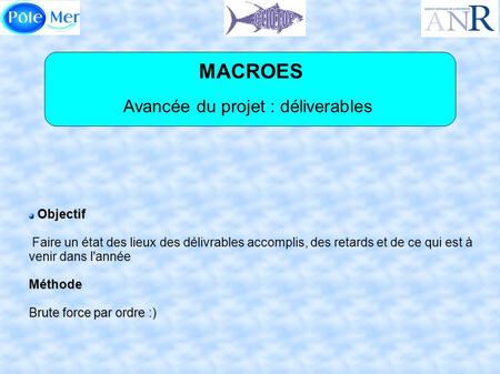 MACROES Avancée du projet : déliverables Objectif Faire un état des lieux des délivrables accomplis, des retards et de ce qui est à venir dans l'annéeMéthode.