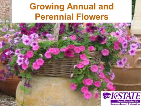 Growing Annual and Perennial Flowers