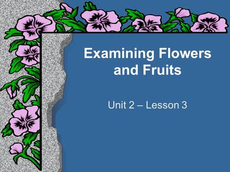 Examining Flowers and Fruits