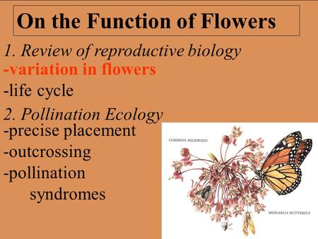 1. Review of reproductive biology 2. Pollination Ecology On the Function of Flowers -precise placement -outcrossing -pollination syndromes -variation in.