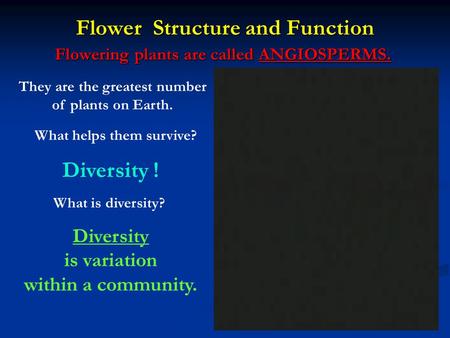 Flower Structure and Function