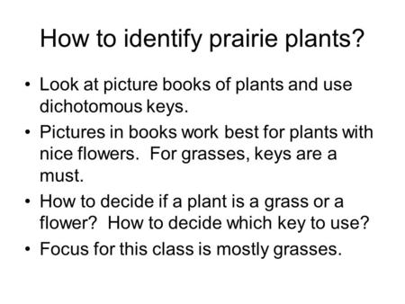 How to identify prairie plants?