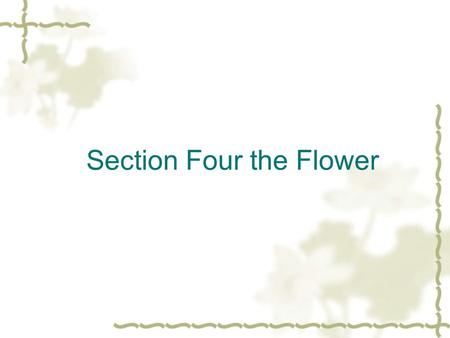 Section Four the Flower