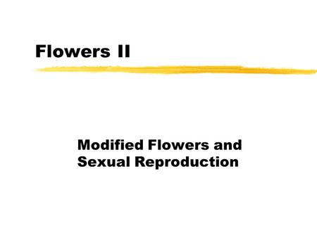 Modified Flowers and Sexual Reproduction