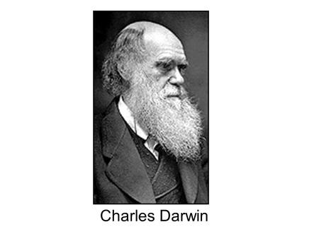 Charles Darwin.