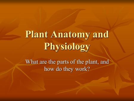 Plant Anatomy and Physiology