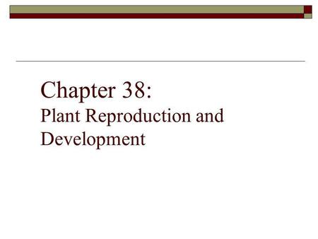 Chapter 38: Plant Reproduction and Development